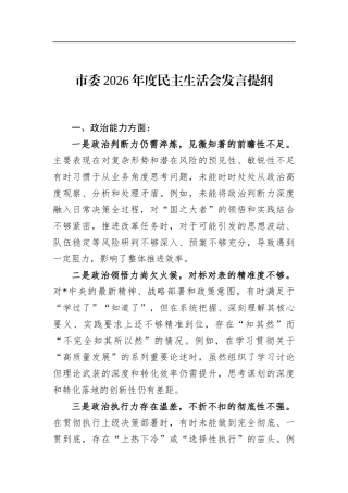 市委2026年度民主生活会发言提纲