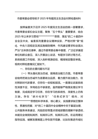 市委常委会领导班子2025年专题民主生活会对照检查材料