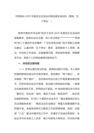 市局局长2025年度民主生活会对照检查发言材料（围绕“五个带头”）