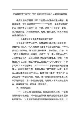 市直属机关工委书记2025年度民主生活会个人对照检查材料