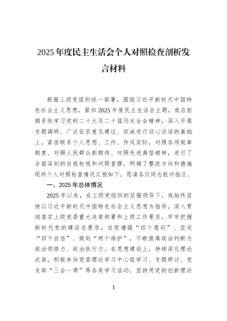 2025年度民主生活会个人对照检查剖析发言材料