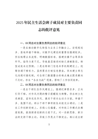 2025年民主生活会班子成员对主要负责同志的批评意见