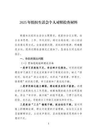 2025年组织生活会个人对照检查材料
