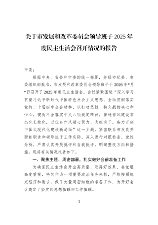 关于市发展和改革委员会领导班子2025年度民主生活会召开情况的报告