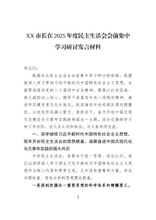 XX市长在2025年度民主生活会会前集中学习研讨发言材料