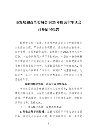市发展和改革委员会2025年度民主生活会召开情况报告