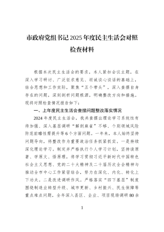 市政府党组书记2025年度民主生活会对照检查材料