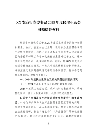 XX农商行党委书记2025年度民主生活会对照检查材料