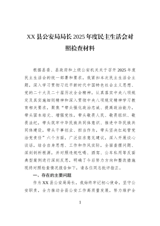XX县公安局局长2025年度民主生活会对照检查材料