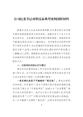 公司纪委书记对照反面典型案例剖析材料