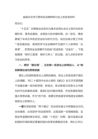 副县长在学习贯彻全会精神研讨会上的发言材料
