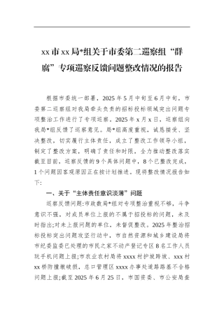 关于市委第二巡察组“群腐”专项巡察反馈问题整改情况的报告
