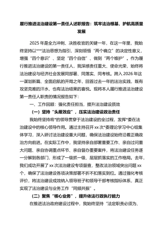 履行推进法治建设第一责任人述职报告：筑牢法治根基，护航高质量发展