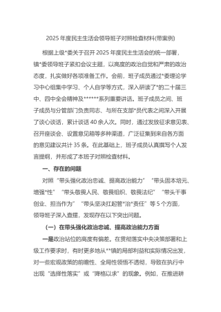 2025年度民主生活会领导班子对照检查材料(带案例)