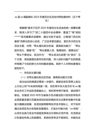 副镇长2025年度民主生活会对照检查材料（五个带头）