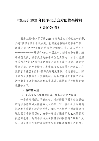 班子2025年民主生活会对照检查材料（集团公司）