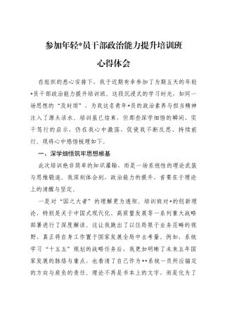 参加年轻党员干部政治能力提升培训班心得体会 (1)