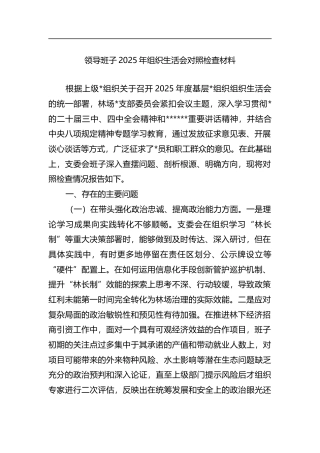 领导班子2025年组织生活会对照检查材料