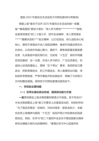 医院2025年度民主生活会班子对照检查材料(带案例)