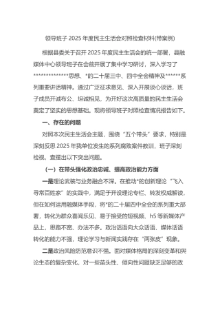 领导班子2025年度民主生活会对照检查材料(带案例)