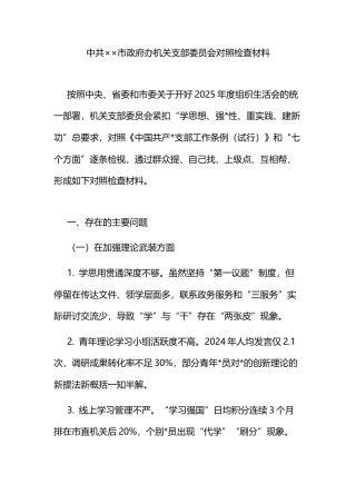 中共××市政府办机关支部委员会对照检查材料