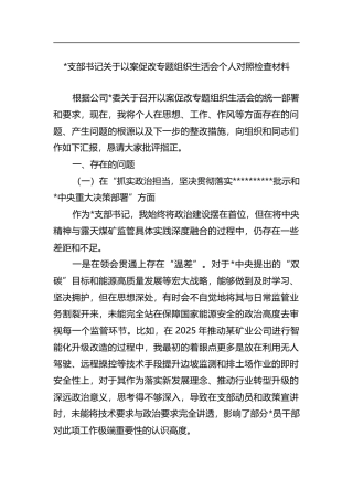 支部书记关于以案促改专题组织生活会个人对照检查材料