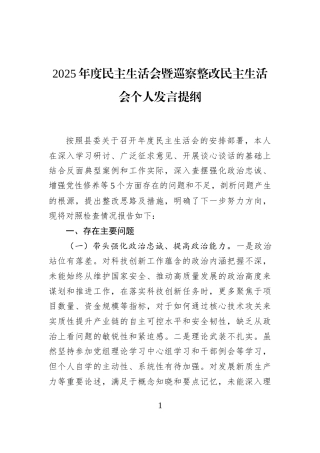 2025年度民主生活会暨巡察整改民主生活会个人发言提纲