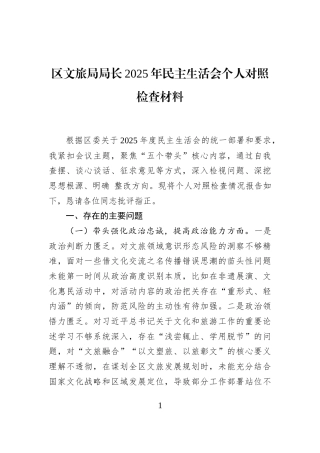 区文旅局局长2025年民主生活会个人对照检查材料