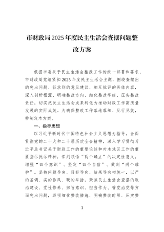 市财政局2025年度民主生活会查摆问题整改方案