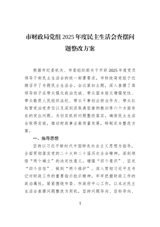 市财政局党组2025年度民主生活会查摆问题整改方案