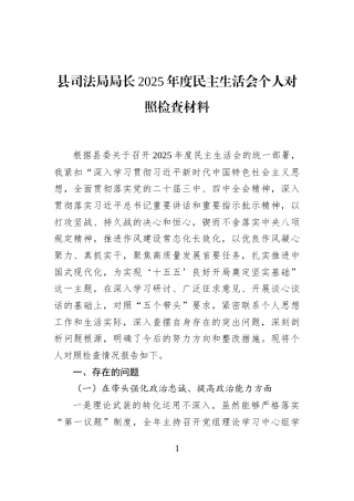 县司法局局长2025年度民主生活会个人对照检查材料