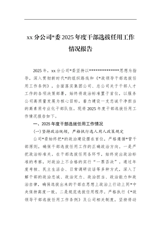 分公司2025年度干部选拔任用工作情况报告