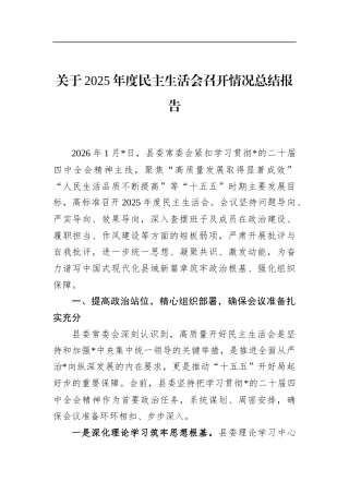 关于2025年度民主生活会召开情况总结报告