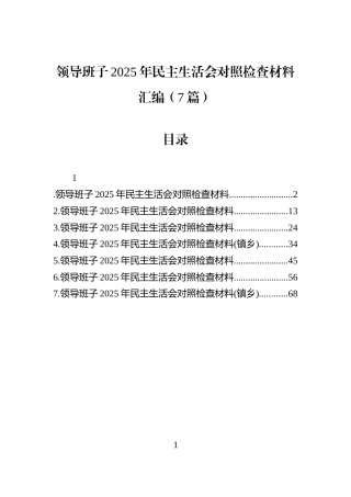 领导班子2025年民主生活会对照检查材料汇编（7篇）