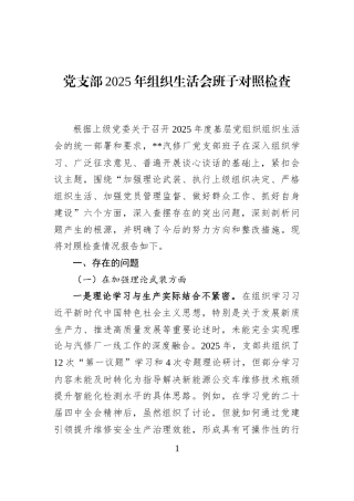党支部2025年组织生活会班子对照检查