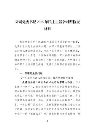 公司党委书记2025年民主生活会对照检查材料