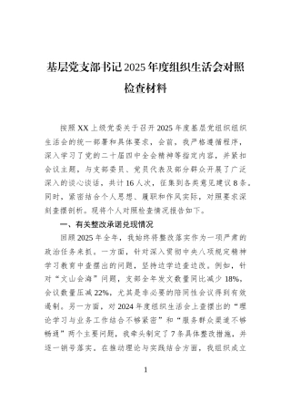 基层党支部书记2025年度组织生活会对照检查材料