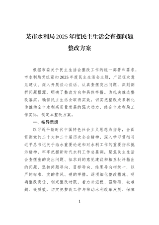 某市水利局2025年度民主生活会查摆问题整改方案