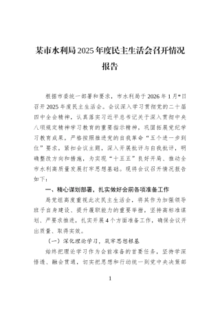 某市水利局2025年度民主生活会召开情况报告