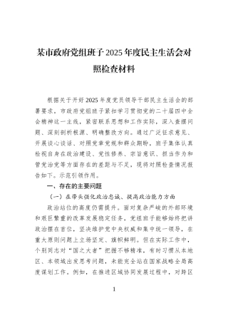 某市政府党组班子2025年度民主生活会对照检查材料