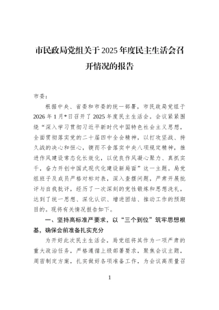 市民政局党组关于2025年度民主生活会召开情况的报告