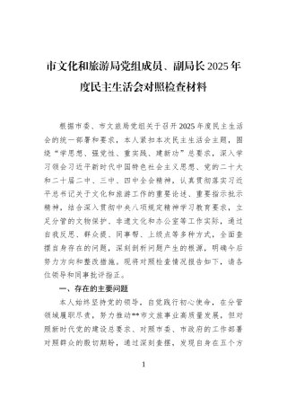 市文化和旅游局党组成员、副局长2025年度民主生活会对照检查材料