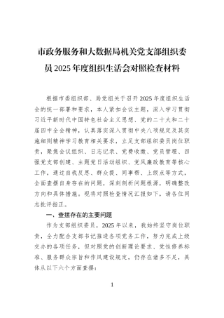 市政务服务和大数据局机关党支部组织委员2025年度组织生活会对照检查材料
