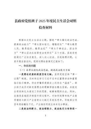 县政府党组班子2025年度民主生活会对照检查材料