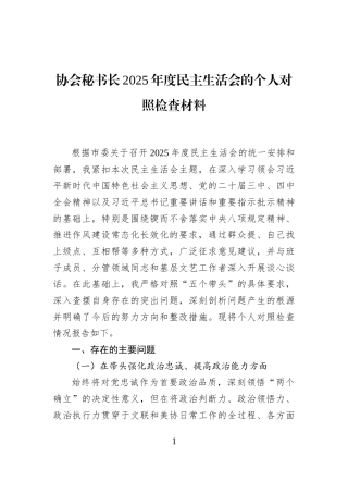 协会秘书长2025年度民主生活会的个人对照检查材料