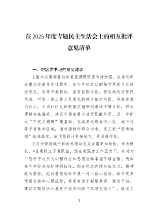 在2025年度专题民主生活会上的相互批评意见清单