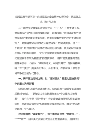 纪检监察干部学习中央纪委五次全会精神心得体会