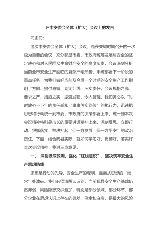 在市安委会全体（扩大）会议上的发言