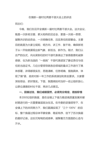 在镇新一届村社两委干部大会上的讲话