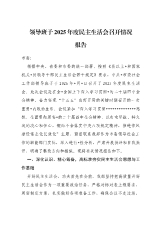 领导班子2025年度民主生活会召开情况报告
